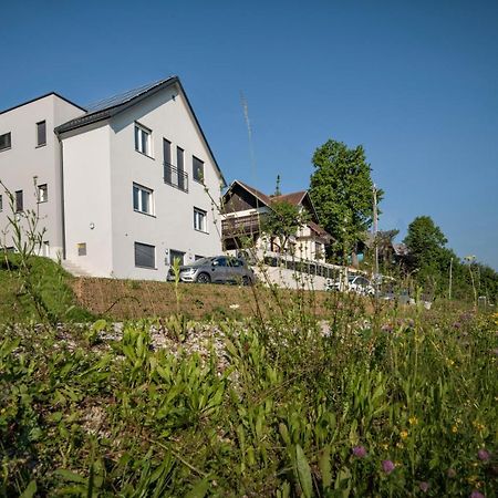 Vila Vernig Bled Exteriör bild