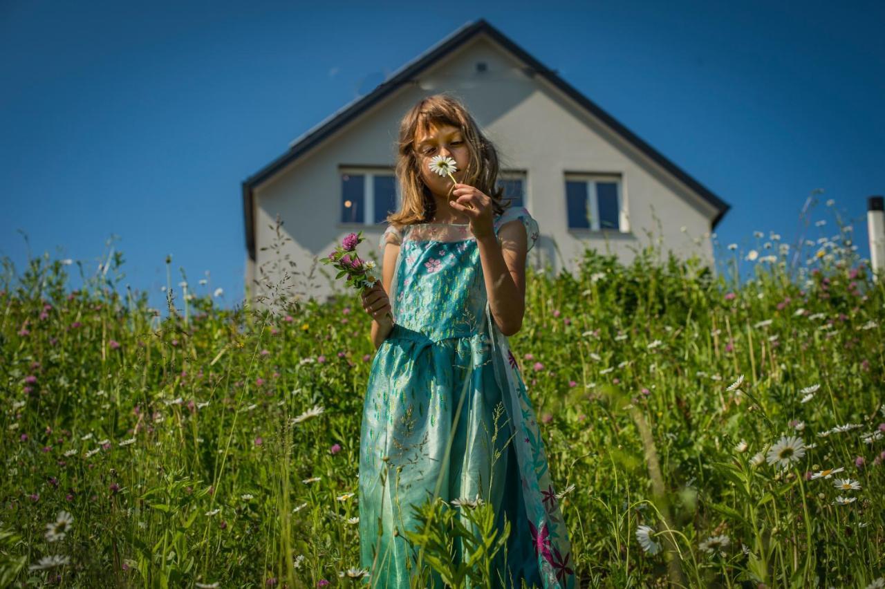 Vila Vernig Bled Exteriör bild